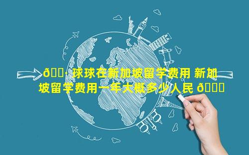 🕷 球球在新加坡留学费用 新加坡留学费用一年大概多少人民 🐞 币